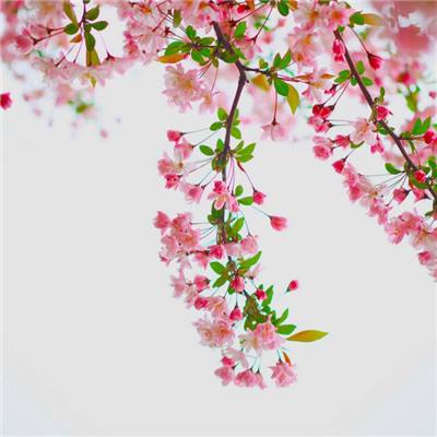 挂江湖疯狂版手游下载
